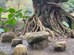 -广州市石门国家森林公园