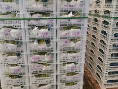 -西郊国际农产品交易中心