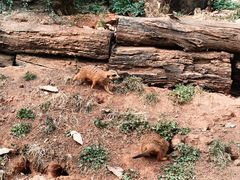 -云南野生动物园