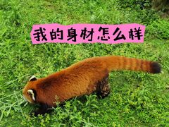 -黔灵山公园