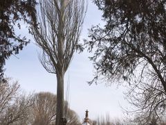 -敦煌石窟文物保护研究陈列中心