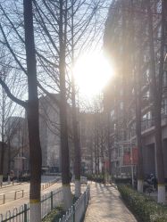 -AFA Hair studio·女士发型设计