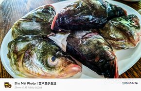 Fresh Reservoir Fish Head