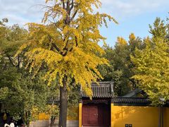 -西园戒幢律寺