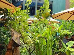 -熙楼(翠湖店)