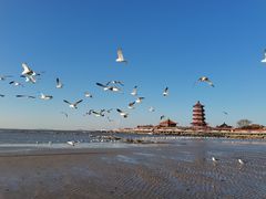 -八仙过海景区