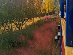 -永定河休闲森林公园