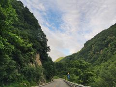 -沣峪口
