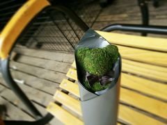 android_upload_pic-ROSEONLY诺誓(青岛万象城店)