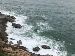 -广东惠东海龟国家级自然保护区