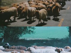 -可可托海景区