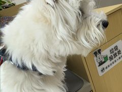 -美联众合动物医院·24h转诊中心