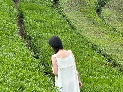 -敬亭山风景名胜区