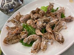 椒盐皮皮虾-天桥饭店·特色海鲜(金山嘴渔村店)