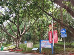 -大屏嶂森林公园