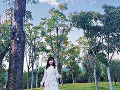 -牛岗山公园