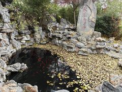 -戏马台景区