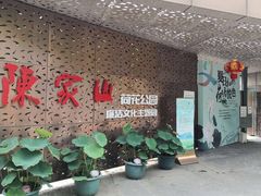 -陈家山荷花公园