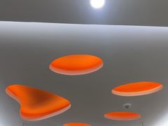 -全心全意连锁动物医院·微创中心·内科急重症·心脏专科(丰管路店)