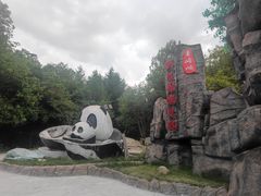 -青峰峡国家森林公园