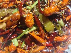 -京悦南门涮羊肉·羊蝎子火锅(田林路店)