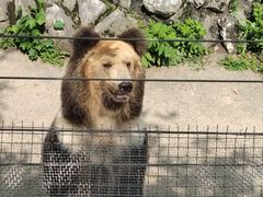 -成都动物园