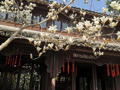 -上海醉白池公园