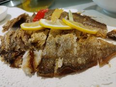 -骏莱海鲜鱼港(五角场店)