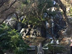 -南诏风情岛