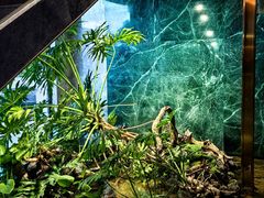 -宴周康·精致江浙菜(周浦店)