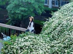 -四川大学(望江校区)