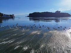 -大理洱海