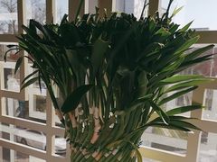 -黄鹤楼湖北特色菜(高碑店)