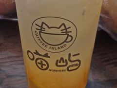 -喵屿·大理花园猫咖