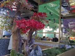 -鲜潭蒸汽石锅鱼(五道口购物中心店)