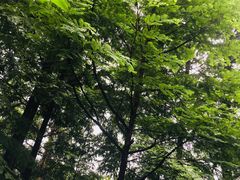 -中铁花水湾四季温泉谷