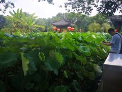 -丝绸小镇荻港古村