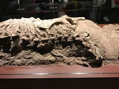 -世界恐龙谷景区