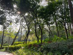 -人民公园(罗湖区)