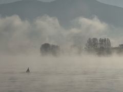 -星河湾温泉洗浴酒店