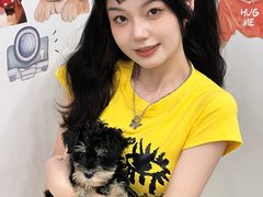 -有喵·猫咖·狗咖·40+猫狗有小奶狗(岗厦店)