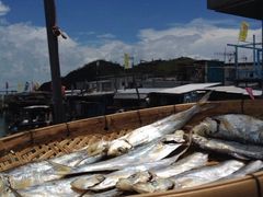iphone_upload_pic-大澳