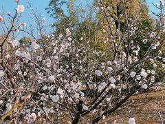 -蜀冈西峰生态公园