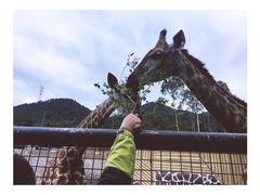 -泉州海丝野生动物世界