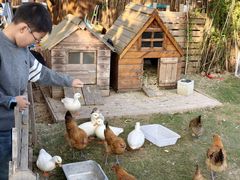 -HERRE·FARM 赫尔露营农场·团建聚会包场