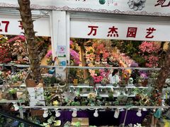 -双季花艺园艺市场(浦东店)