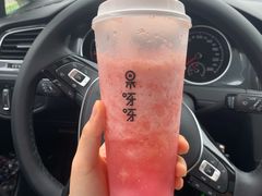 多肉桃桃莓莓-果呀呀(凯德广场店)