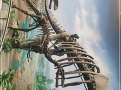 -延庆地质公园博物馆