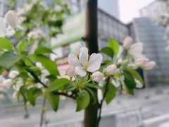 -星巴克(北京中关村南大街店)