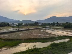 -黄牛肉馆·皖南土菜